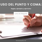 Uso del Punto y Coma