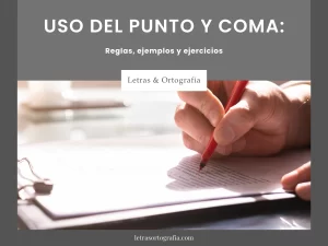 Uso del Punto y Coma
